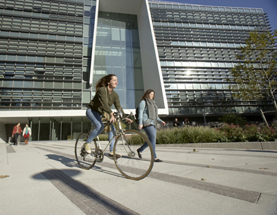 Myrtle with Bikes